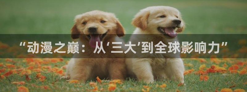 3d 里番动漫在线观看