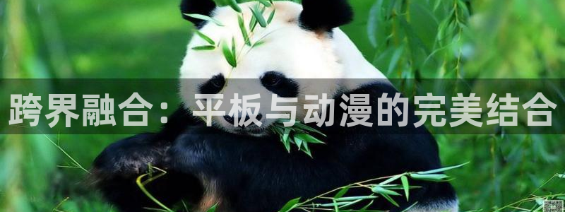 推荐的里番动漫