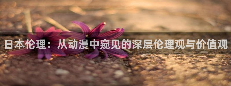 里番动漫最高质量