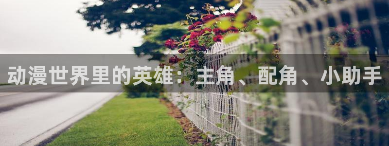 里番动漫是什么