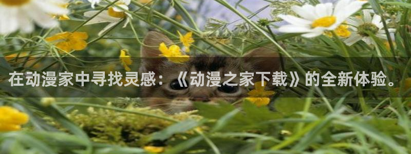 日本3d里番动漫：在动漫家中寻找灵感：《动漫之家下载》的全新体验。